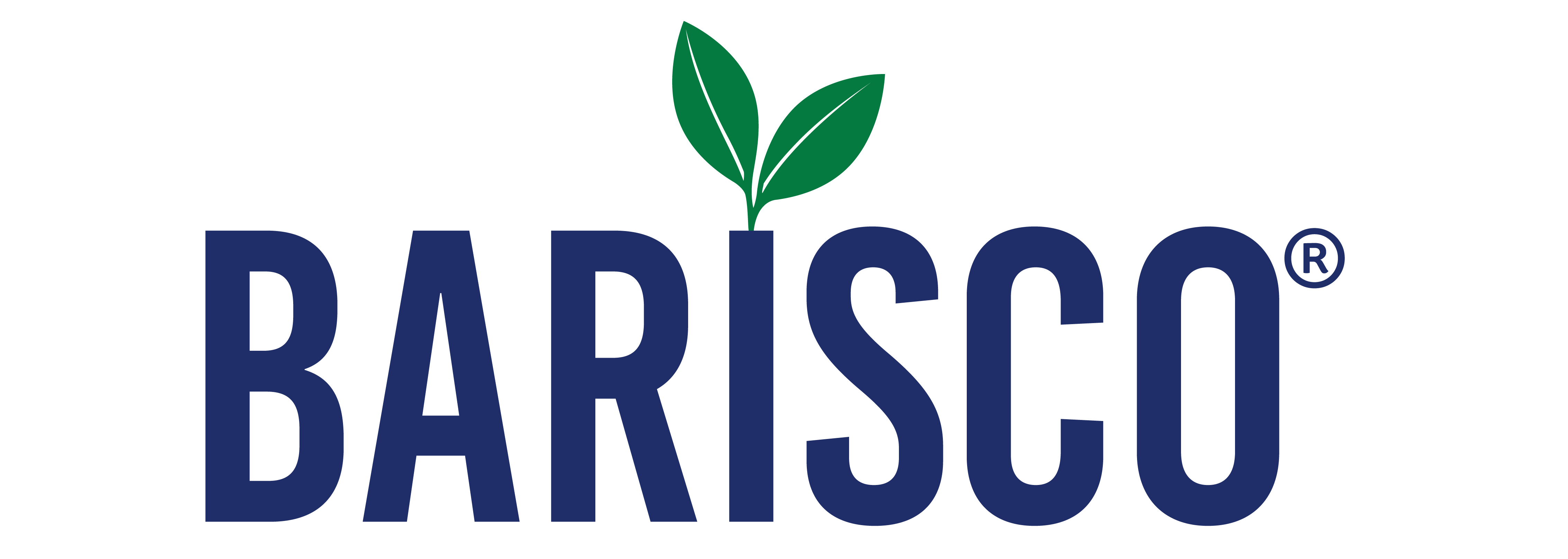 Barisco logo with two green leaves on a white background